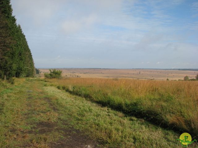 randonnée sportive avec joëlettes, Ovifat, 2012